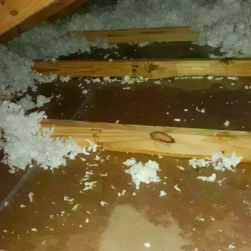 Attic Water Damage in Dunbar, WV